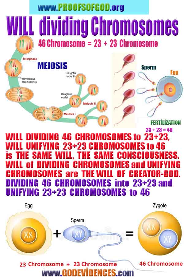 Proofs and Evidences of God, God exists proofs, God is real proofs and evidences, Proofs of God's existance