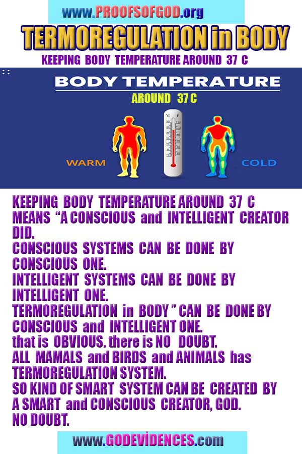 Proofs and Evidences of God, God exists proofs, God is real proofs and evidences, Proofs of God's existance