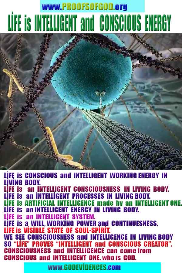 Proofs and Evidences of God, God exists proofs, God is real proofs and evidences, Proofs of God's existance