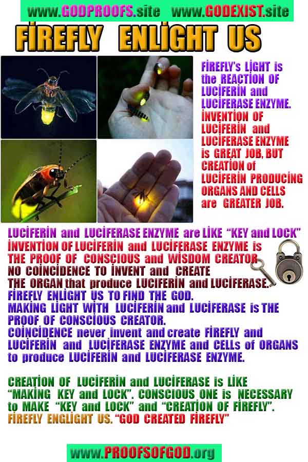 Proofs and Evidences of God, God exists proofs, God is real proofs and evidences, Proofs of God's existance