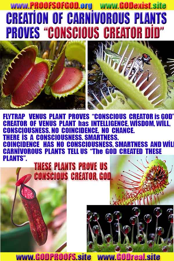 Proofs and Evidences of God, God exists proofs, God is real proofs and evidences, Proofs of God's existance