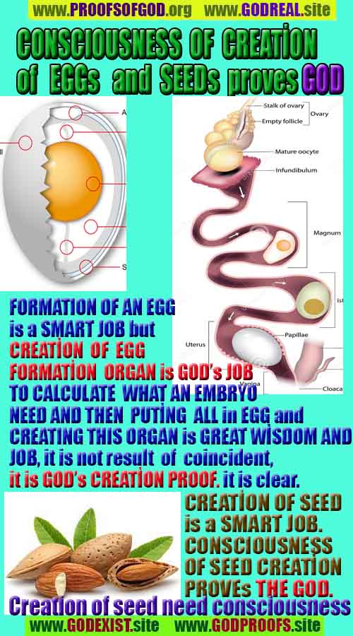 Proofs and Evidences of God, God exists proofs, God is real proofs and evidences, Proofs of God's existance