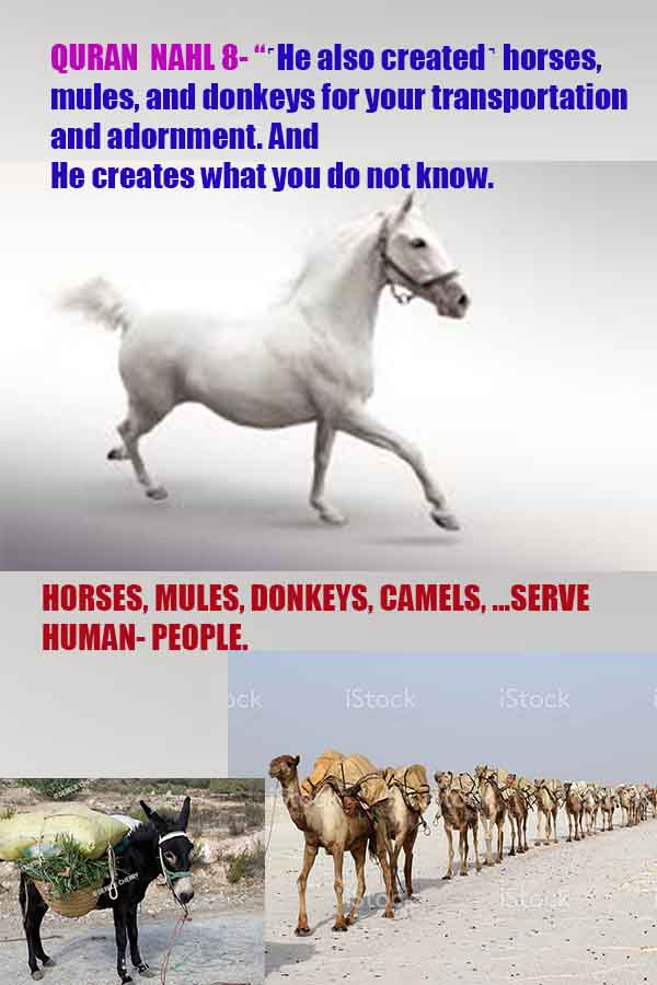 Proofs and Evidences of God, God exists proofs, God is real proofs and evidences, Proofs of God's existance