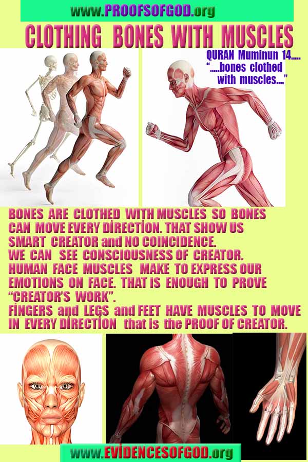 Proofs and Evidences of God, God exists proofs, God is real proofs and evidences, Proofs of God's existance