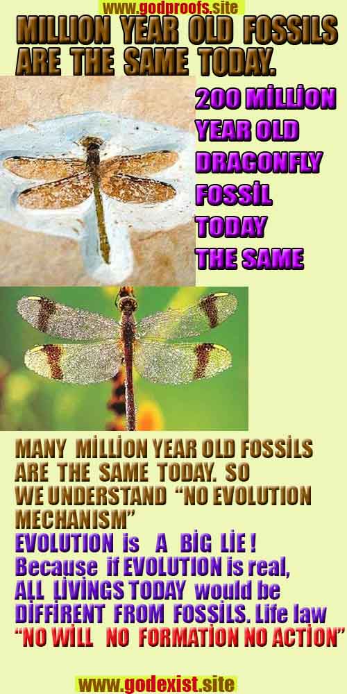 Proofs and Evidences of God, God exists proofs, God is real proofs and evidences, Proofs of God's existance