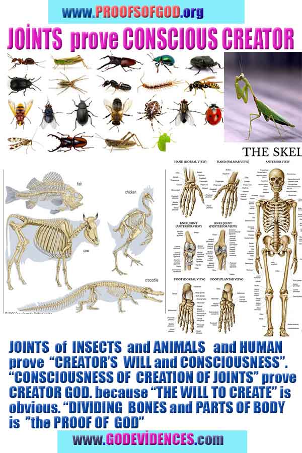 Proofs and Evidences of God, God exists proofs, God is real proofs and evidences, Proofs of God's existance