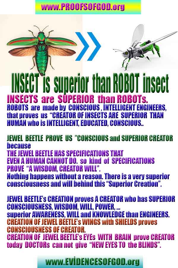 Proofs and Evidences of God, God exists proofs, God is real proofs and evidences, Proofs of God's existance