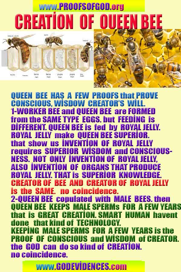 Proofs and Evidences of God, God exists proofs, God is real proofs and evidences, Proofs of God's existance