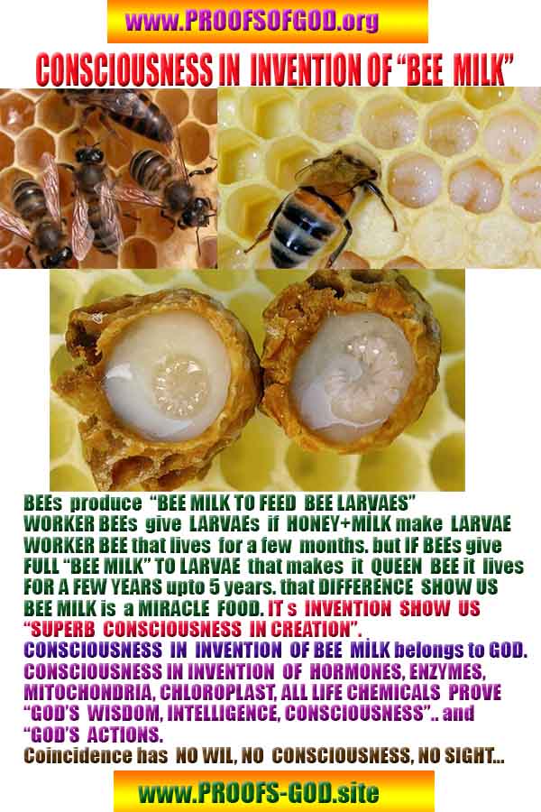 Proofs and Evidences of God, God exists proofs, God is real proofs and evidences, Proofs of God's existance