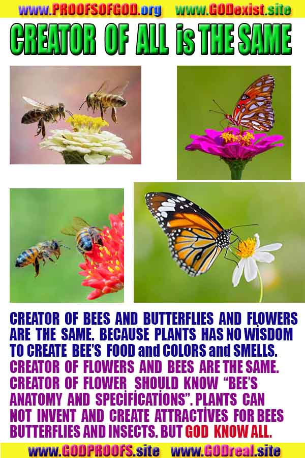 Proofs and Evidences of God, God exists proofs, God is real proofs and evidences, Proofs of God's existance