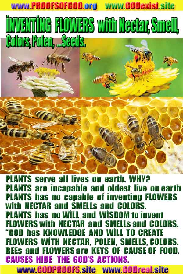 Proofs and Evidences of God, God exists proofs, God is real proofs and evidences, Proofs of God's existance